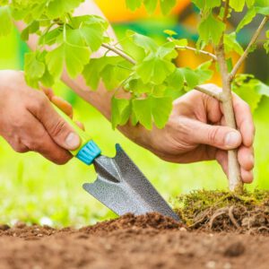 empresa de jardineria en madrid